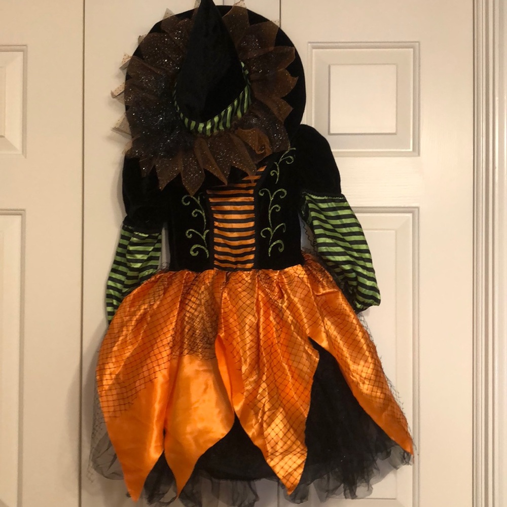 Classic witch costume. Bought new Cracker Barrel